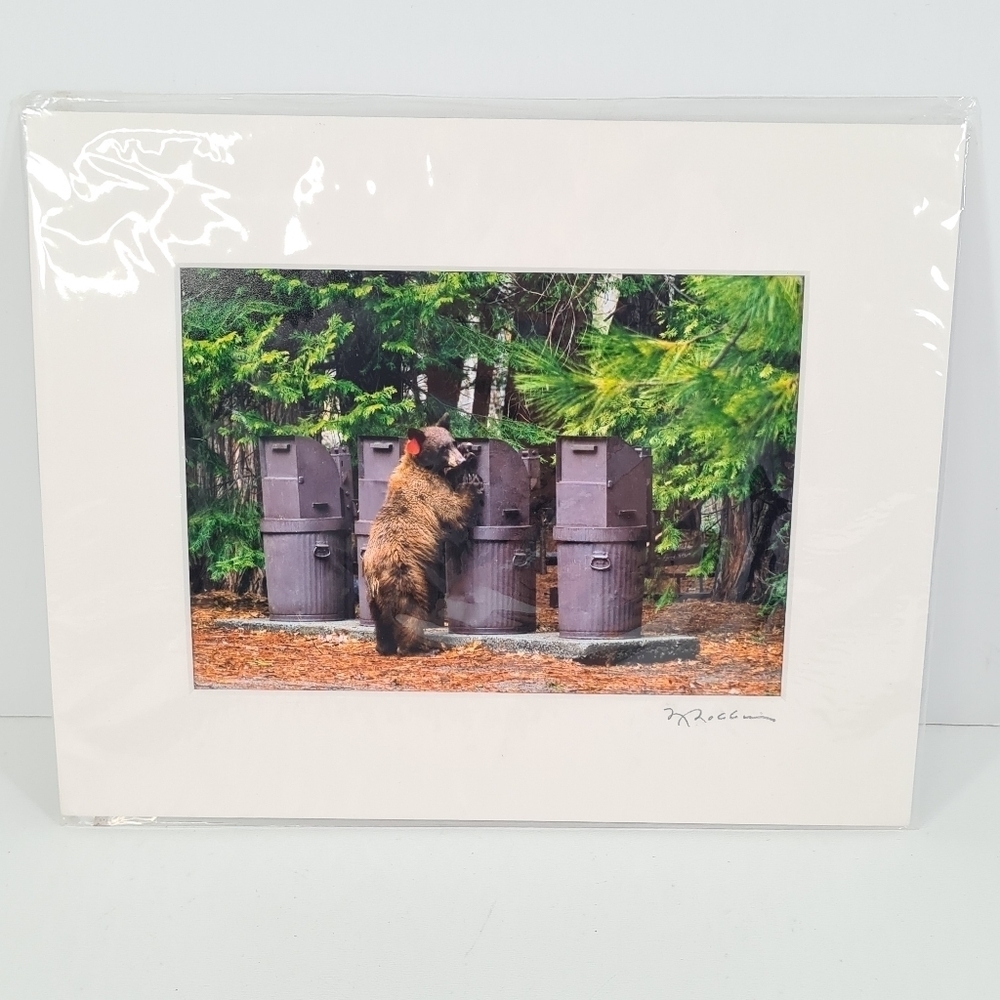 Nancy Roberts Photography "Bears Will be Bears" 2009 Print 5"×7"